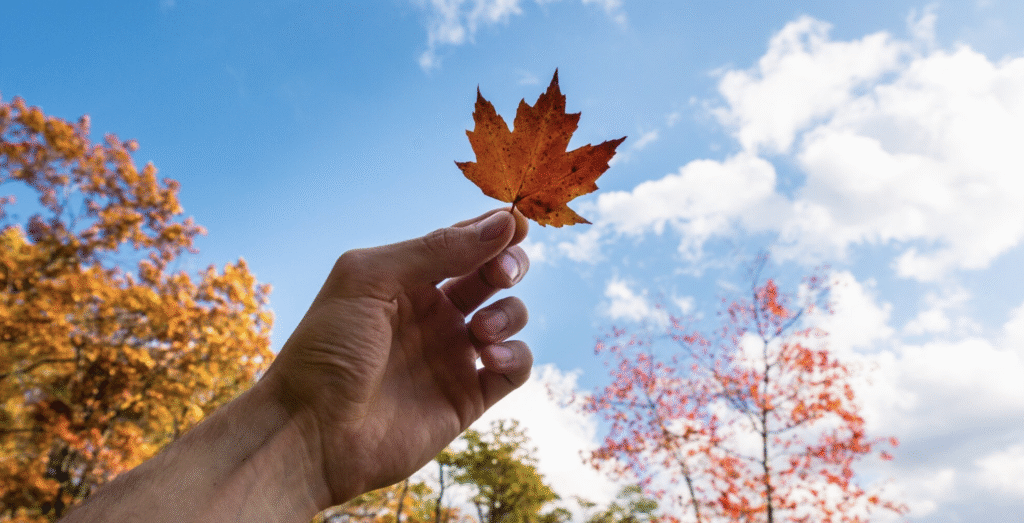 verano
experiencia
crecer